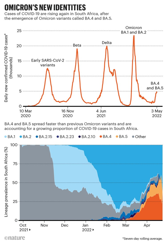 Fig.2 Omicron's spread data in South Africa( Image sourceNature)