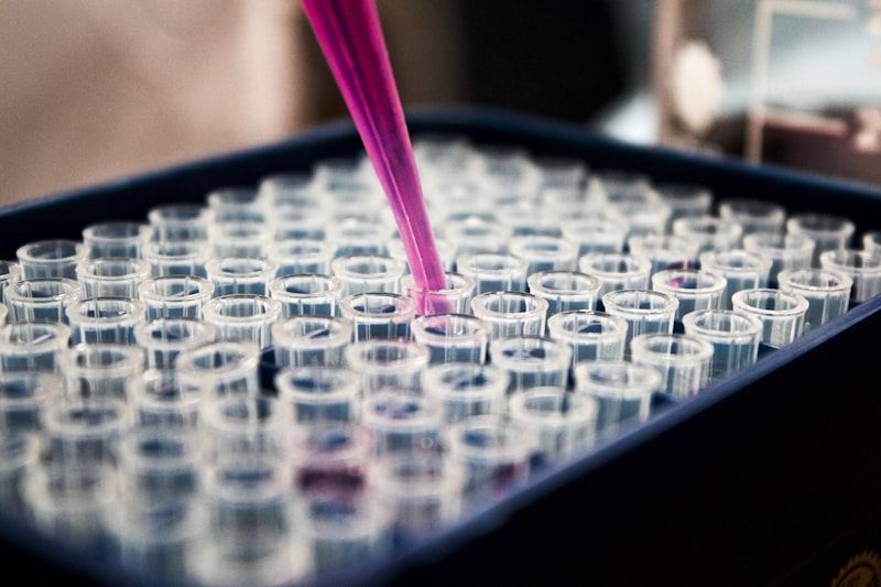 Rapid Test Kits