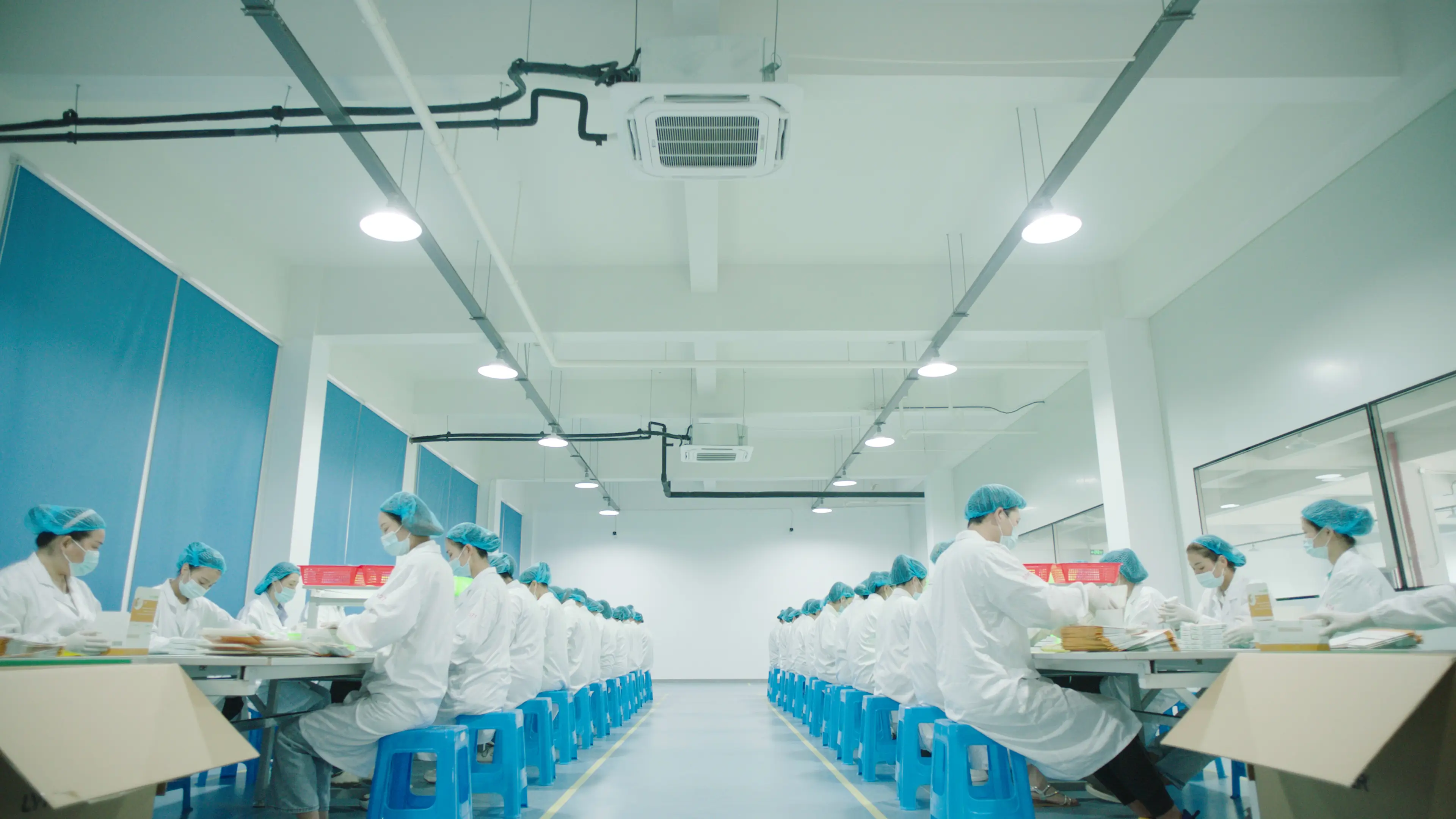 Cleanroom Assembly & Packaging Line