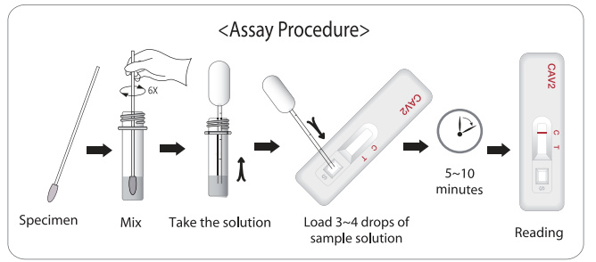 CAV 2 Ag TEST
