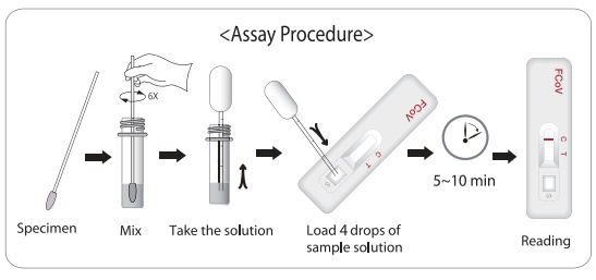 F-CoV test