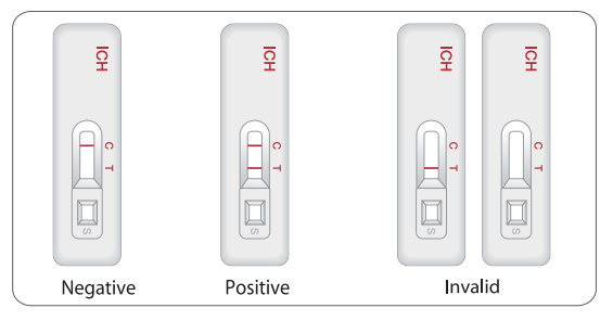 Interpretation of Results