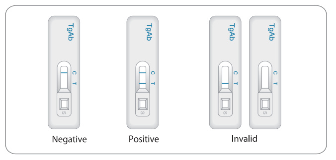 Interpretation of Results